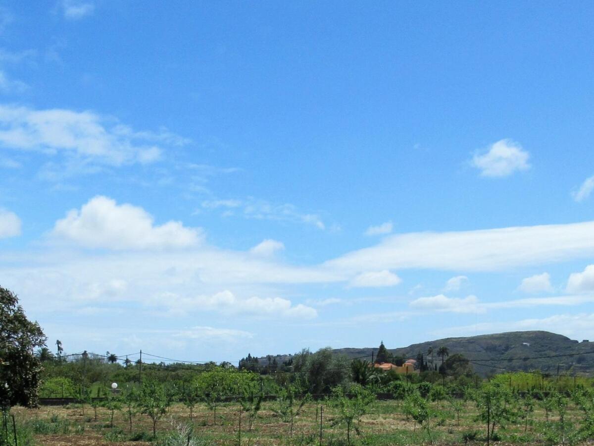 Casa Rural El Alpendre Vega de San Mateo Eksteriør bilde