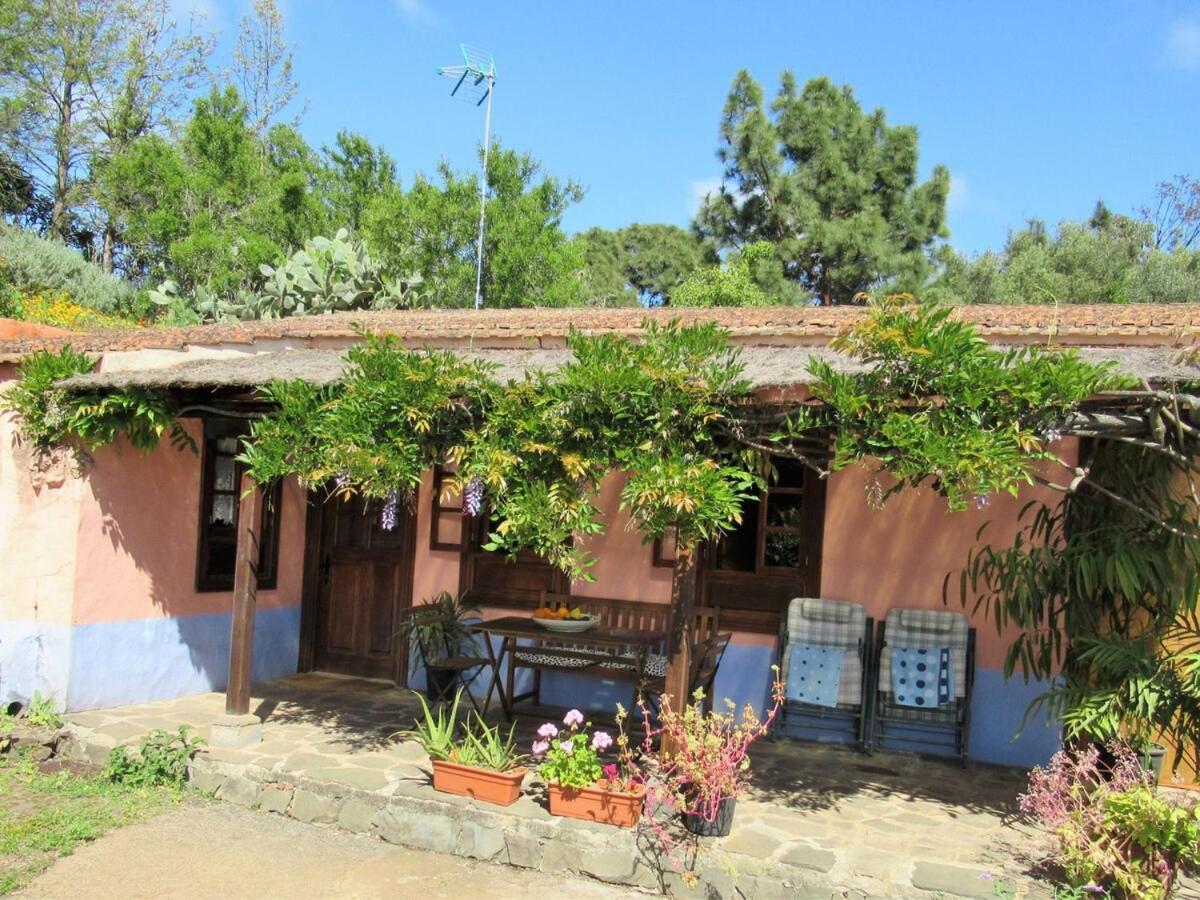 Casa Rural El Alpendre Vega de San Mateo Eksteriør bilde