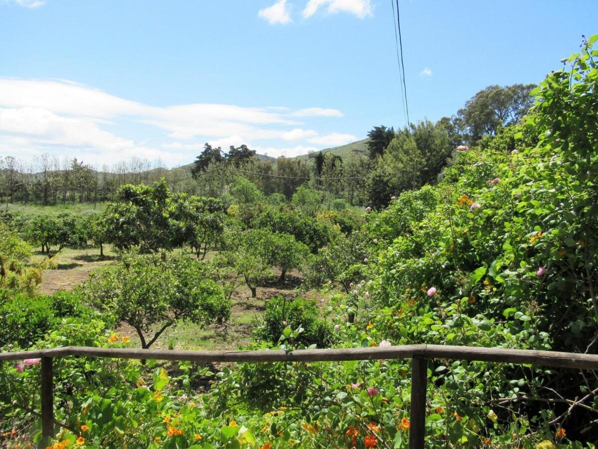 Casa Rural El Alpendre Vega de San Mateo Eksteriør bilde