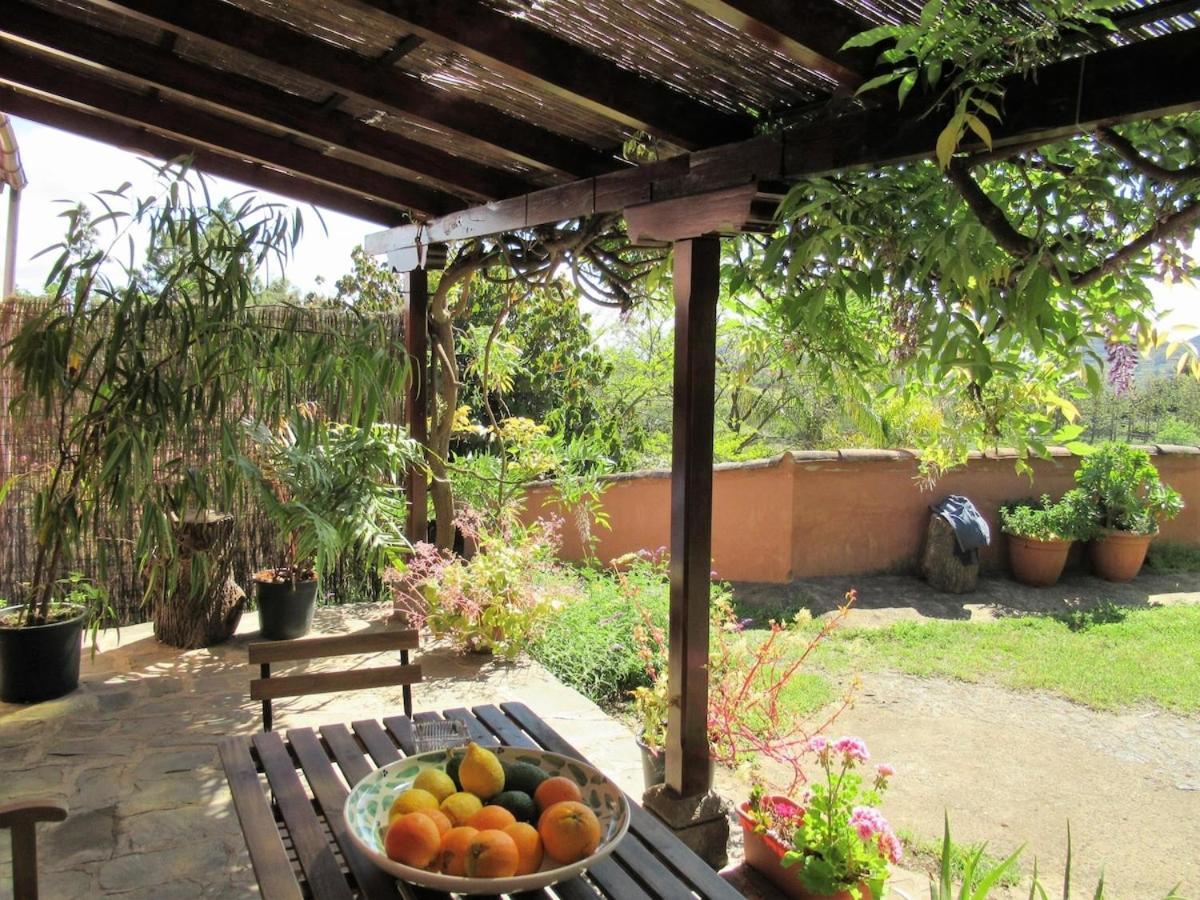 Casa Rural El Alpendre Vega de San Mateo Eksteriør bilde